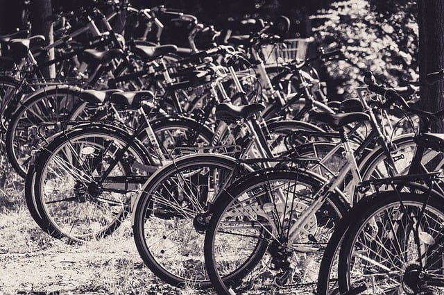 Cykler og kurver: Hvordan cykliske aktier påvirker din investering